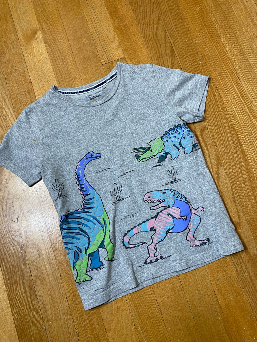 Craft + Flow Knitwear Kids' Short-Sleeve Dinosaur Graphic Tee Little Boys 6 L